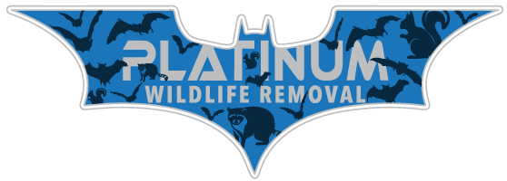 Goshen Wildlife Control